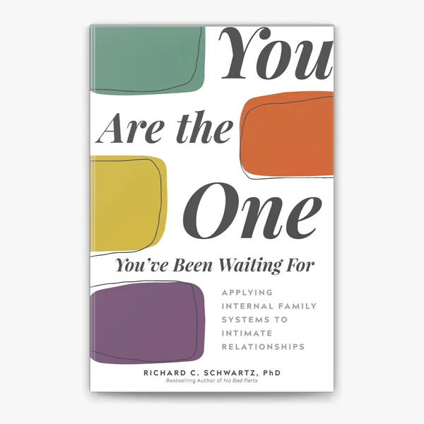 Cover of You Are the One You’ve Been Waiting For by Richard Schwartz